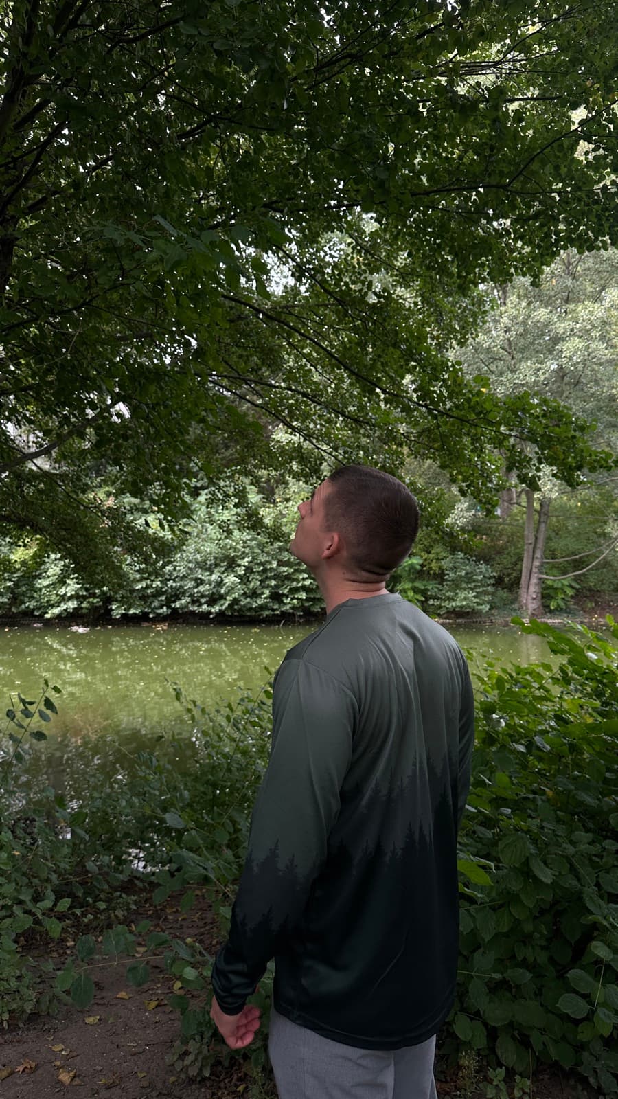 Leopold im Wald, der Blick geht nach oben
